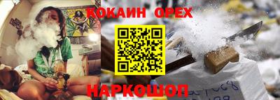 jwh Гатчина
