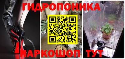 jwh Гатчина